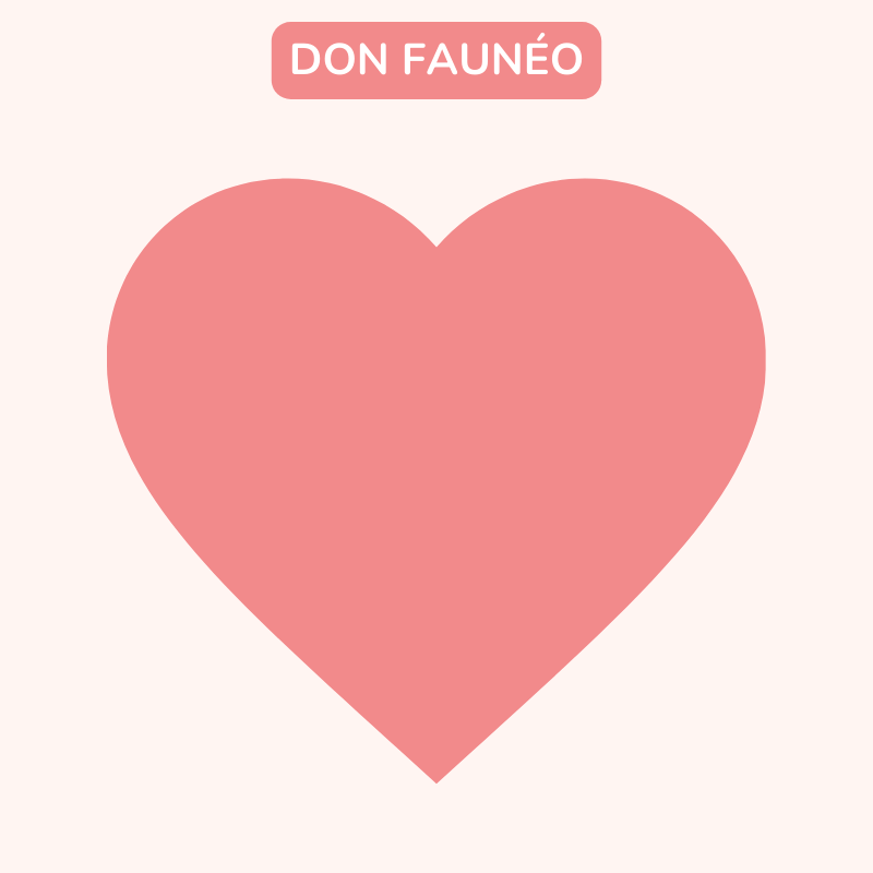 Fauneo Donation