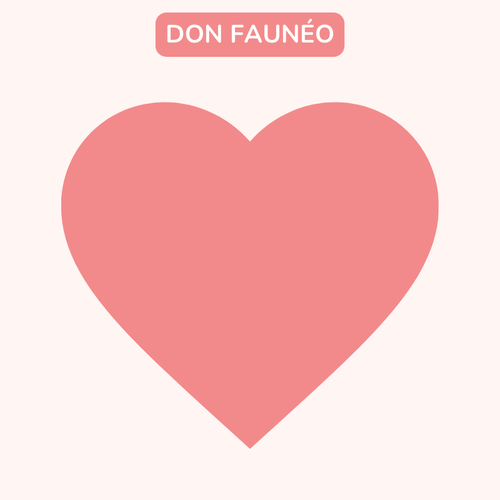 Fauneo Donation