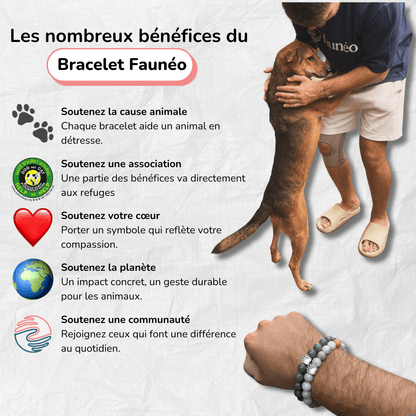 Bracelet Ami des Chiens