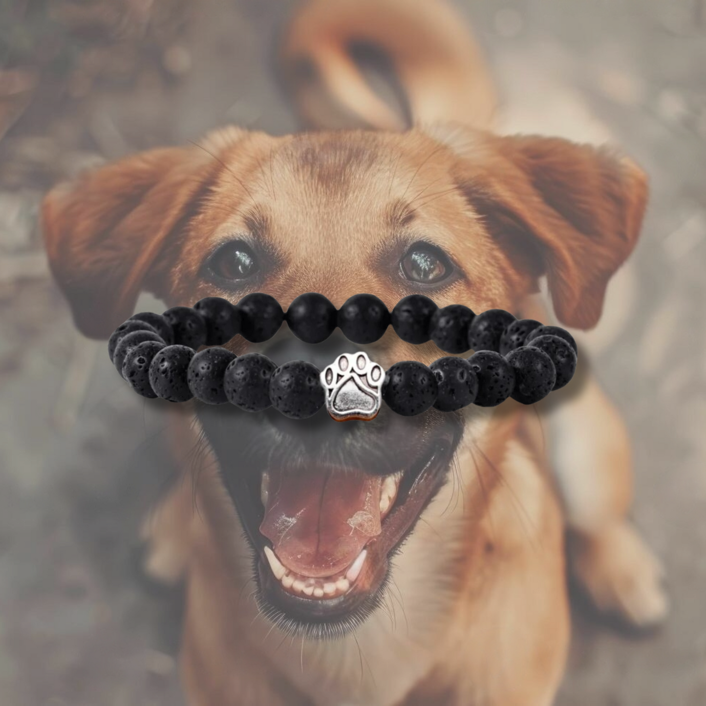 Track a rescue dog bracelet