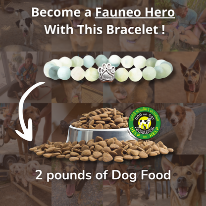 Track a rescue dog bracelet