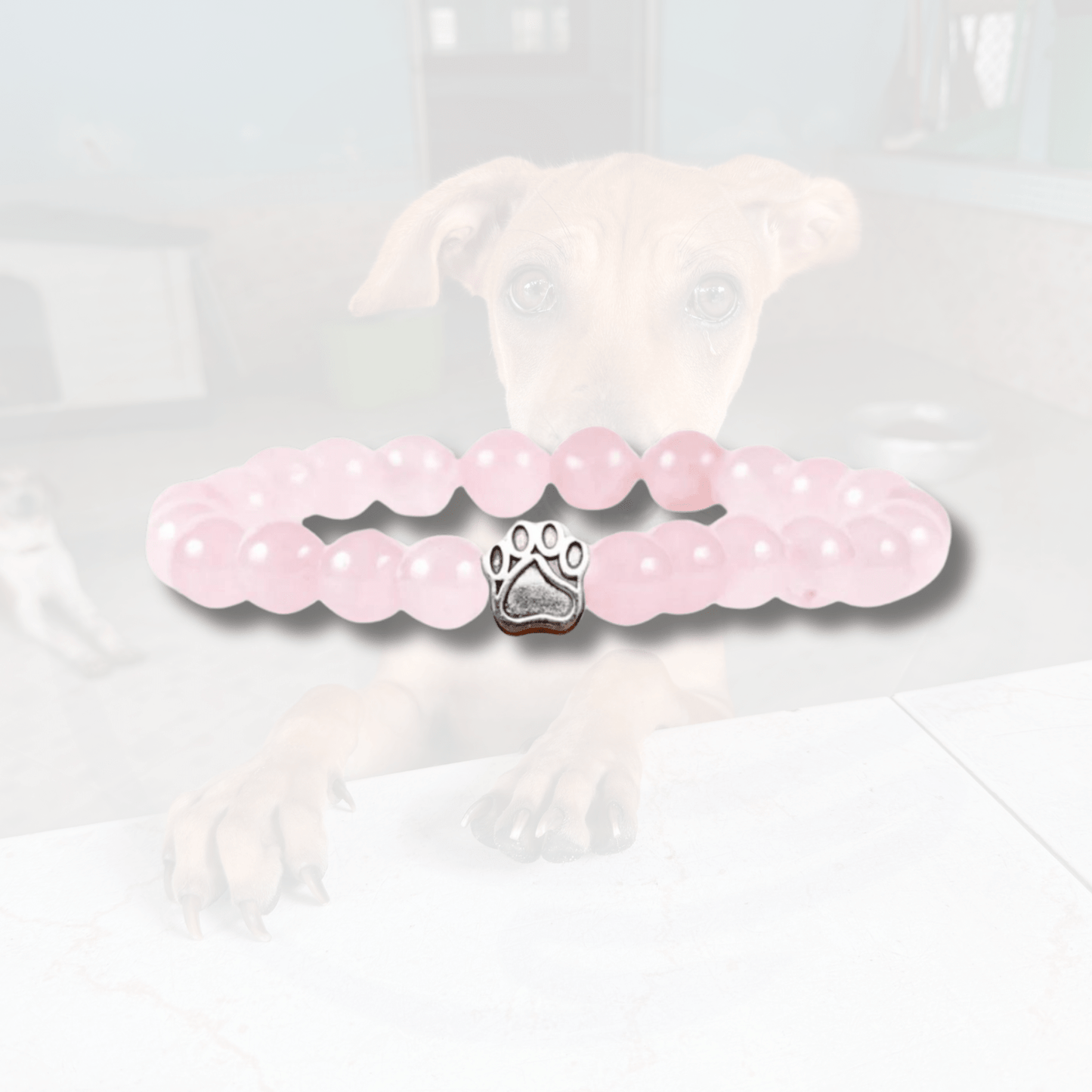 Track a rescue dog bracelet