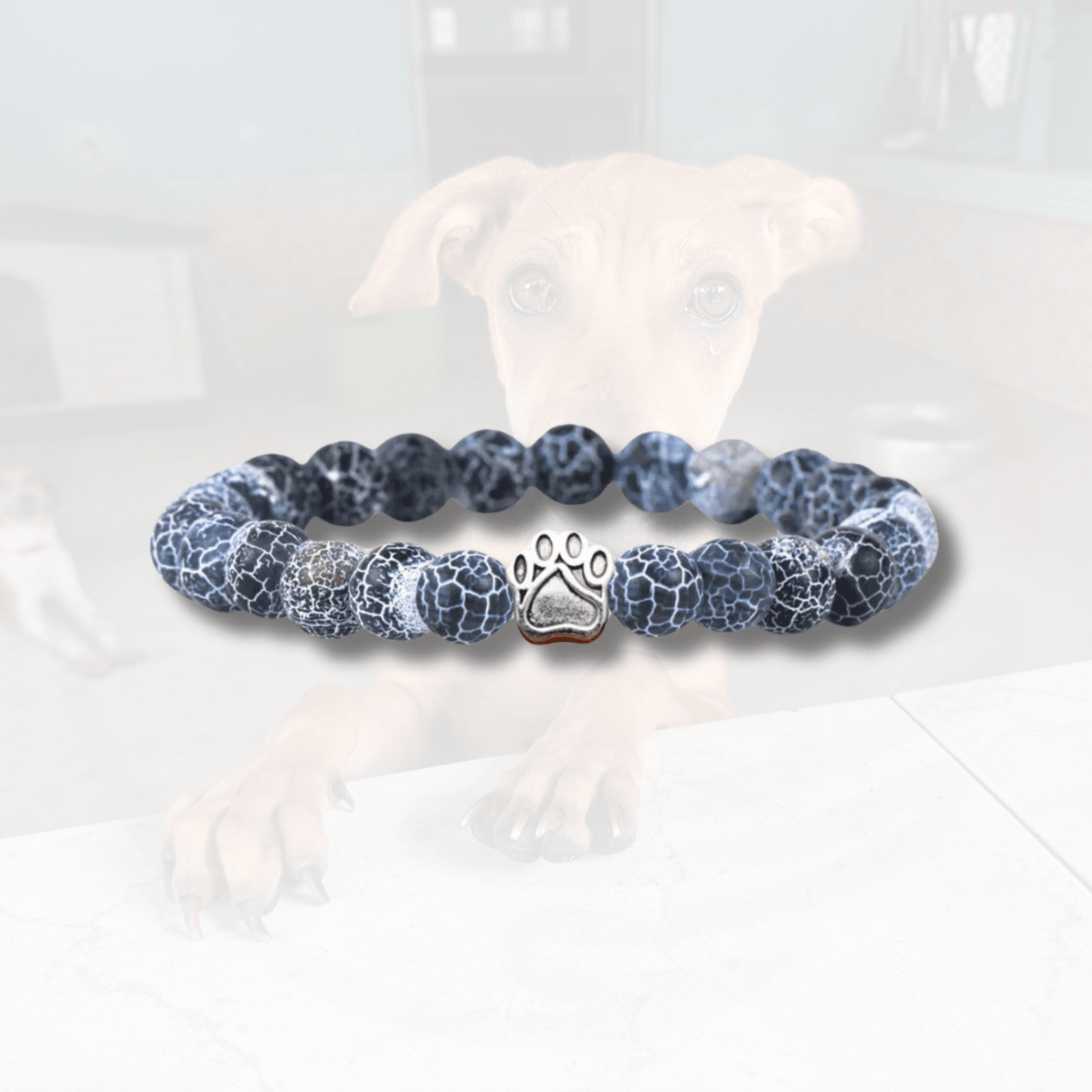 Track a rescue dog bracelet