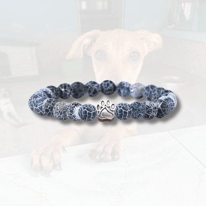 Track a rescue dog bracelet