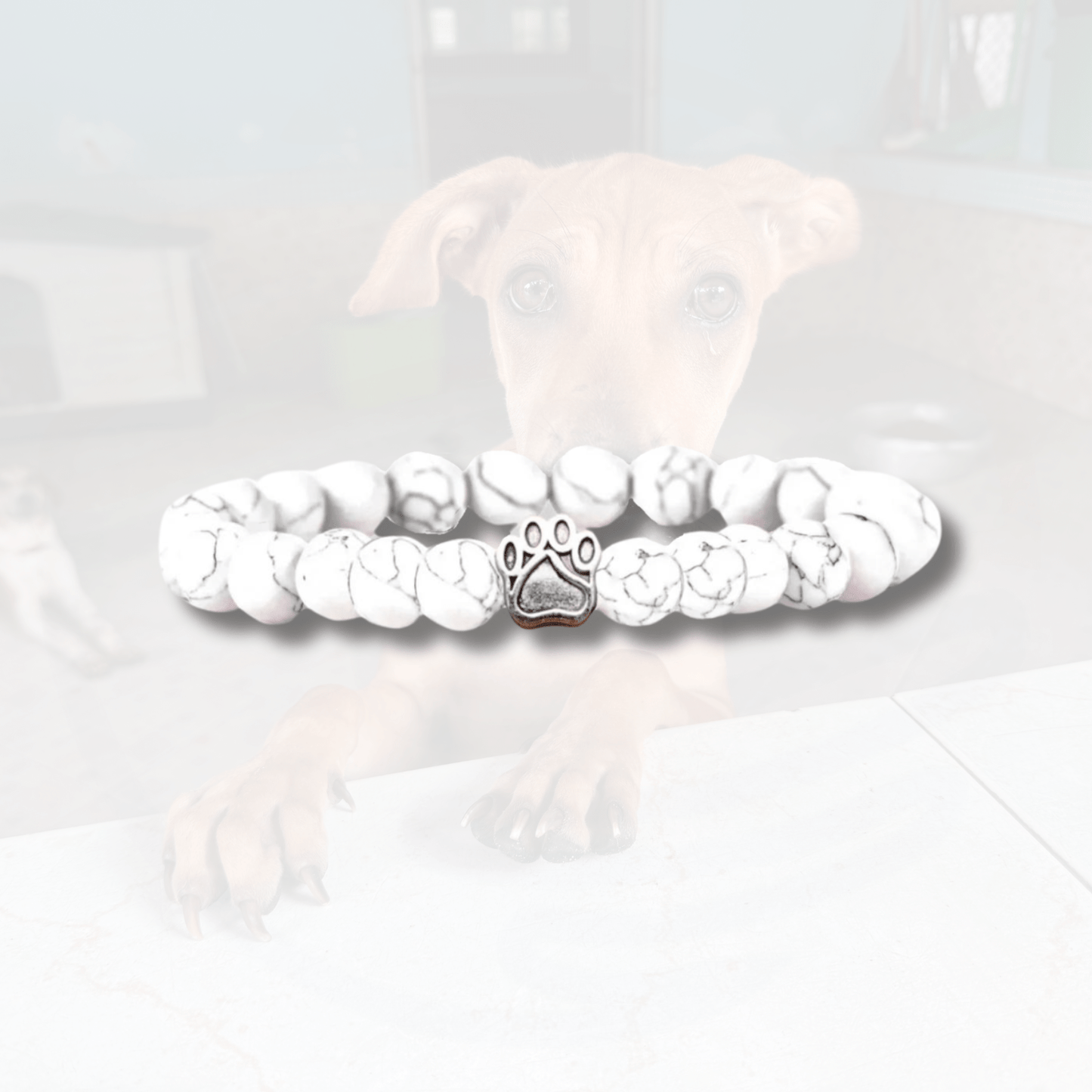 Track a rescue dog bracelet