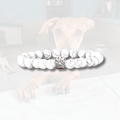 Track a rescue dog bracelet